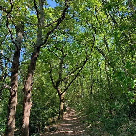 La Du Bois Arcachon