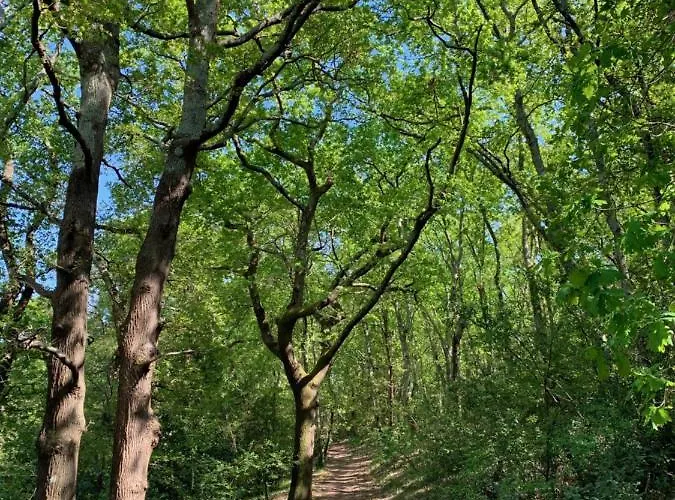 La Du Bois 아르카숑